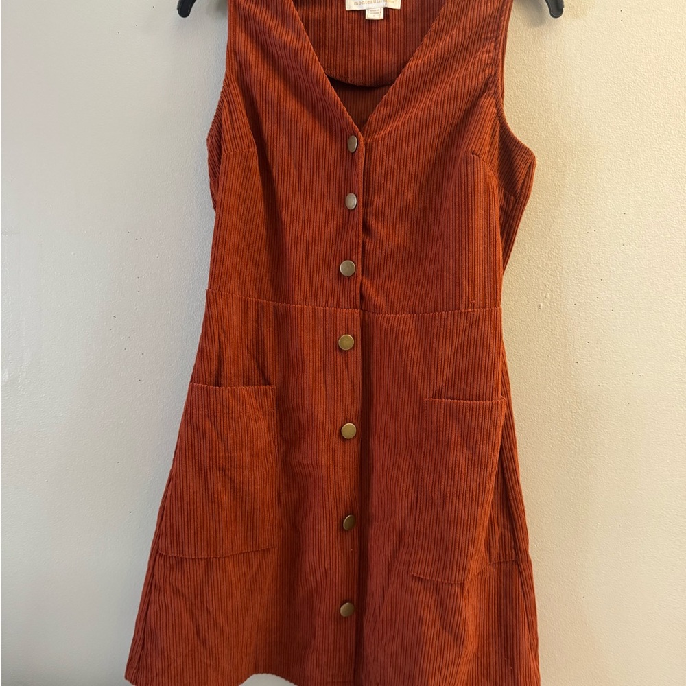Zara Rust Button-Front Mini Dress